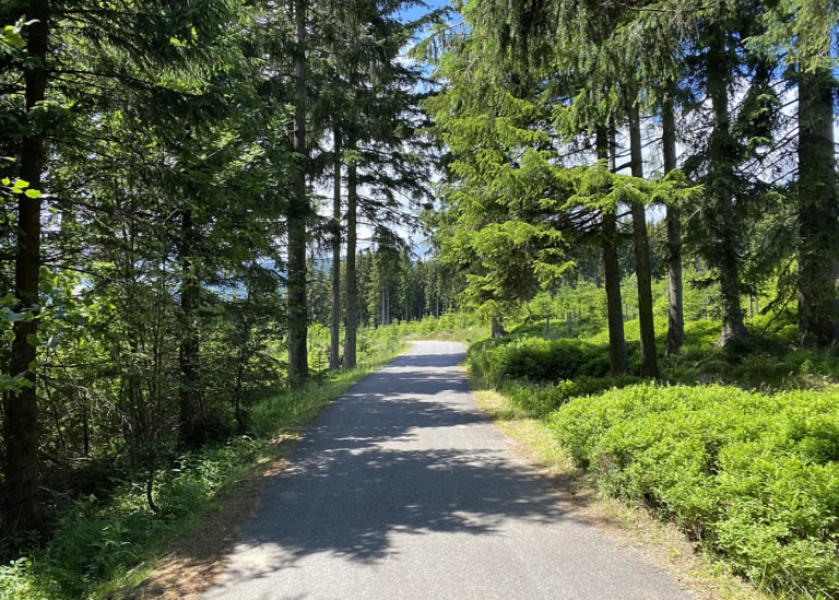 Wellness Bouda Horní Malá Úpa - Sněžka