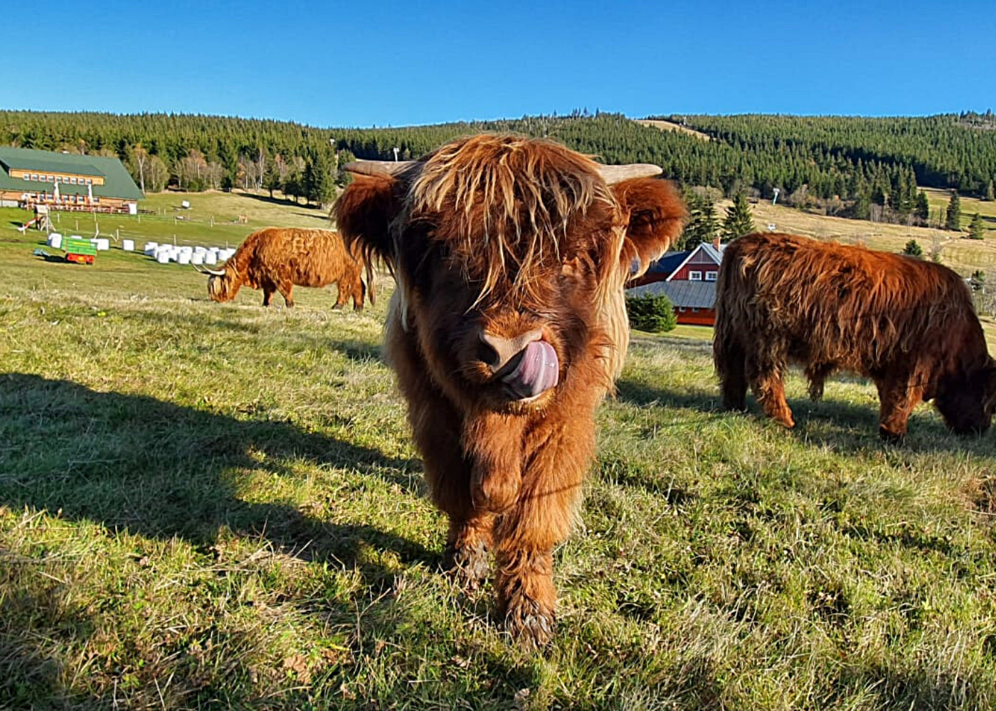 Wellness Bouda Horní Malá Úpa - jaro_léto