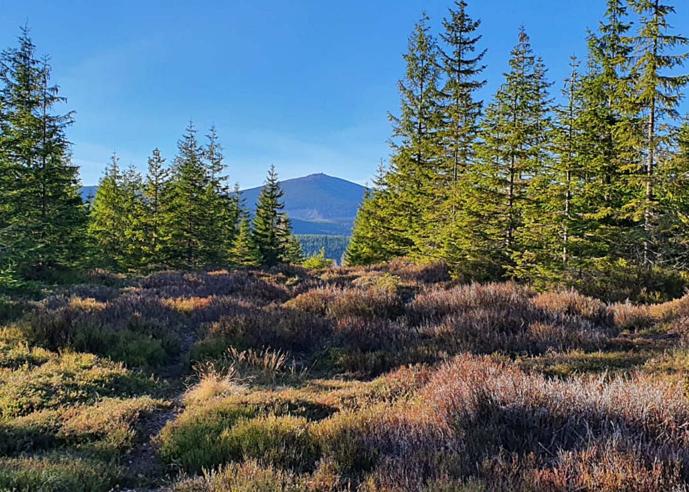Wellness Bouda Horní Malá Úpa - jaro_léto (4)