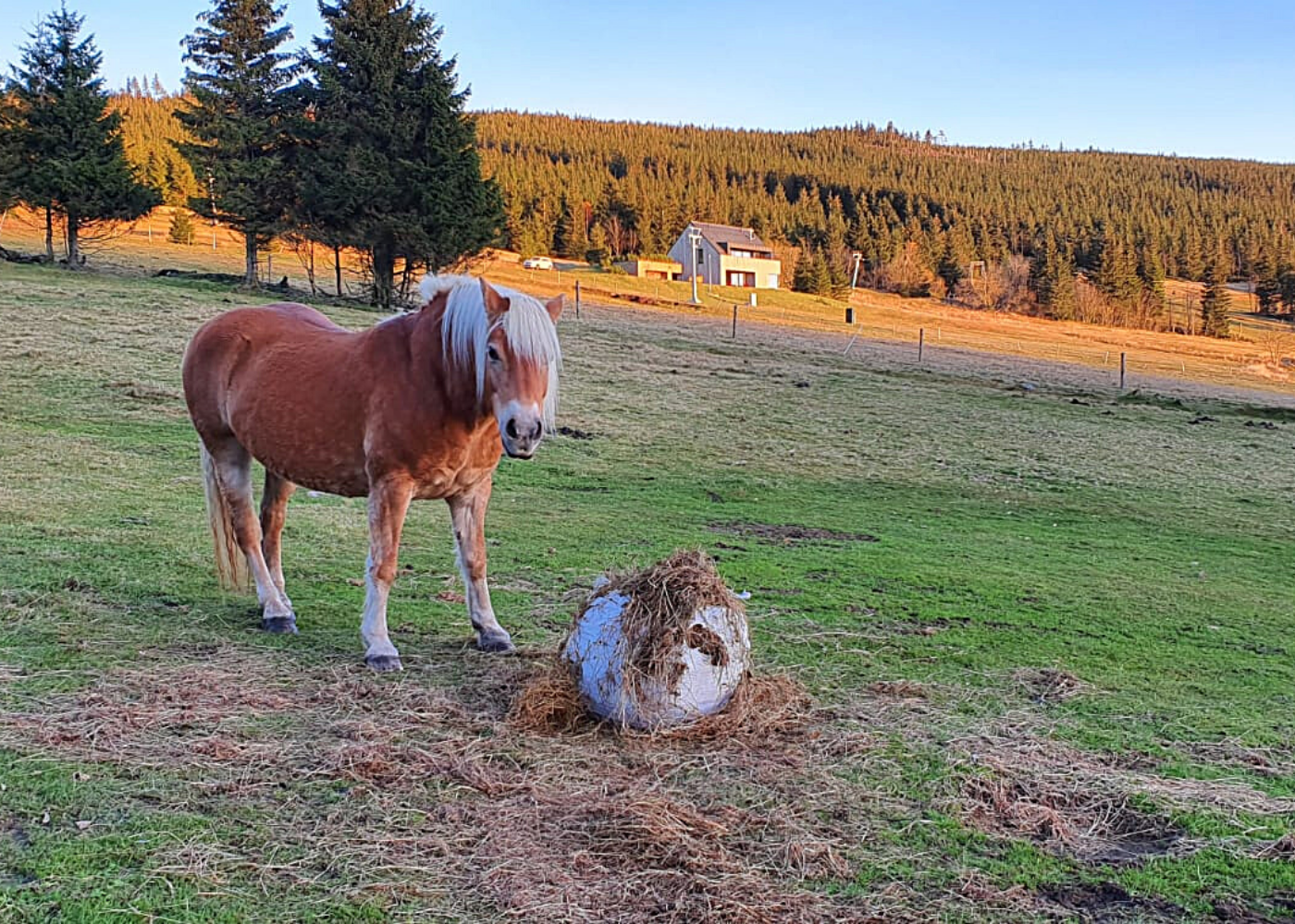 Wellness Bouda Horní Malá Úpa - jaro_léto (5)